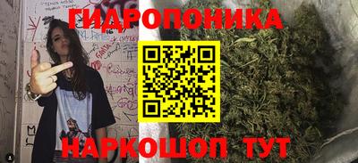 шишки Гусев