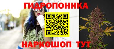молекула духа Гай