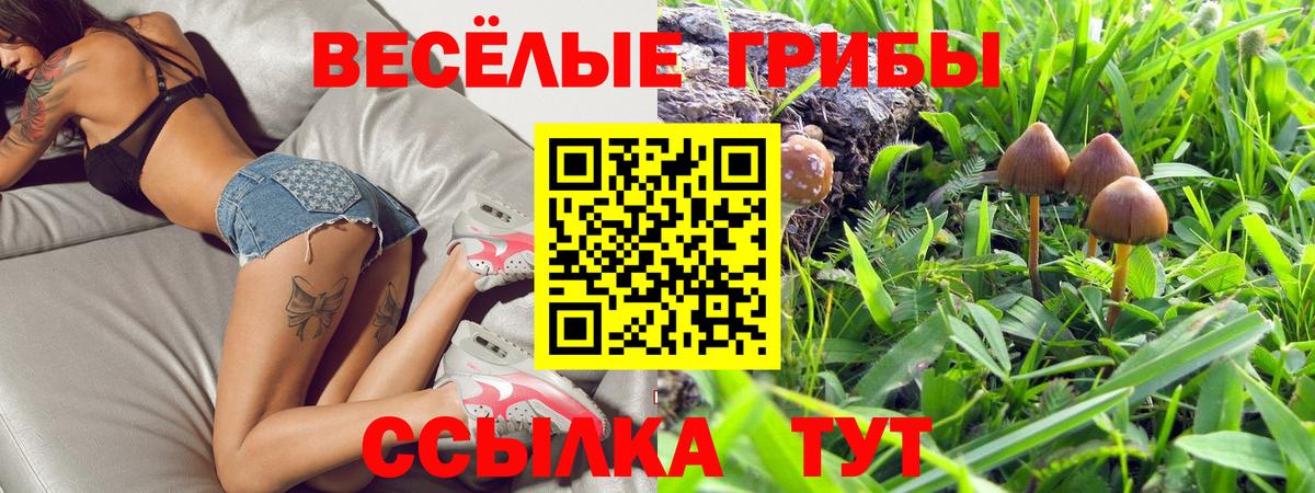Галлюциногенные грибы Magic Shrooms  Вход с VPN  Карасук 