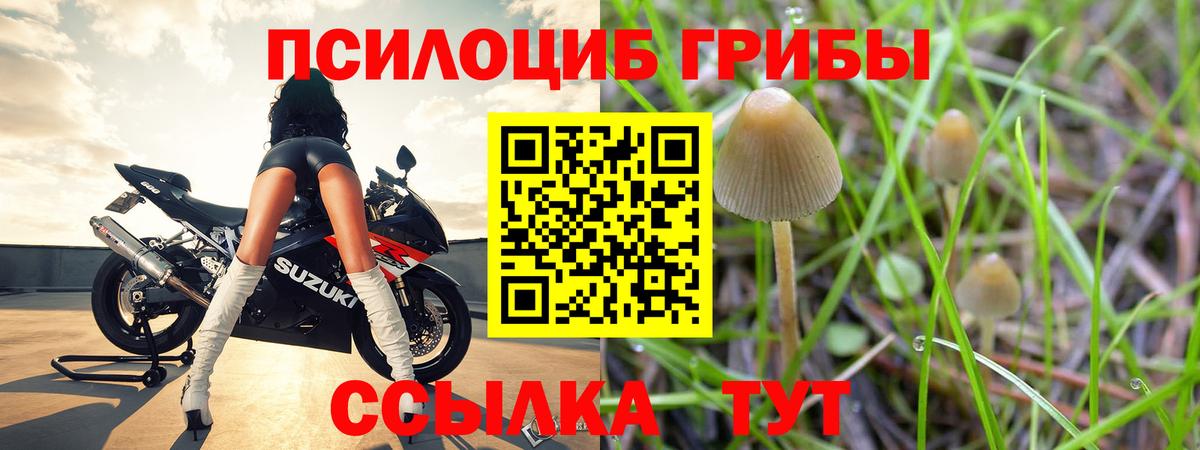 Галлюциногенные грибы MAGIC MUSHROOMS Карасук